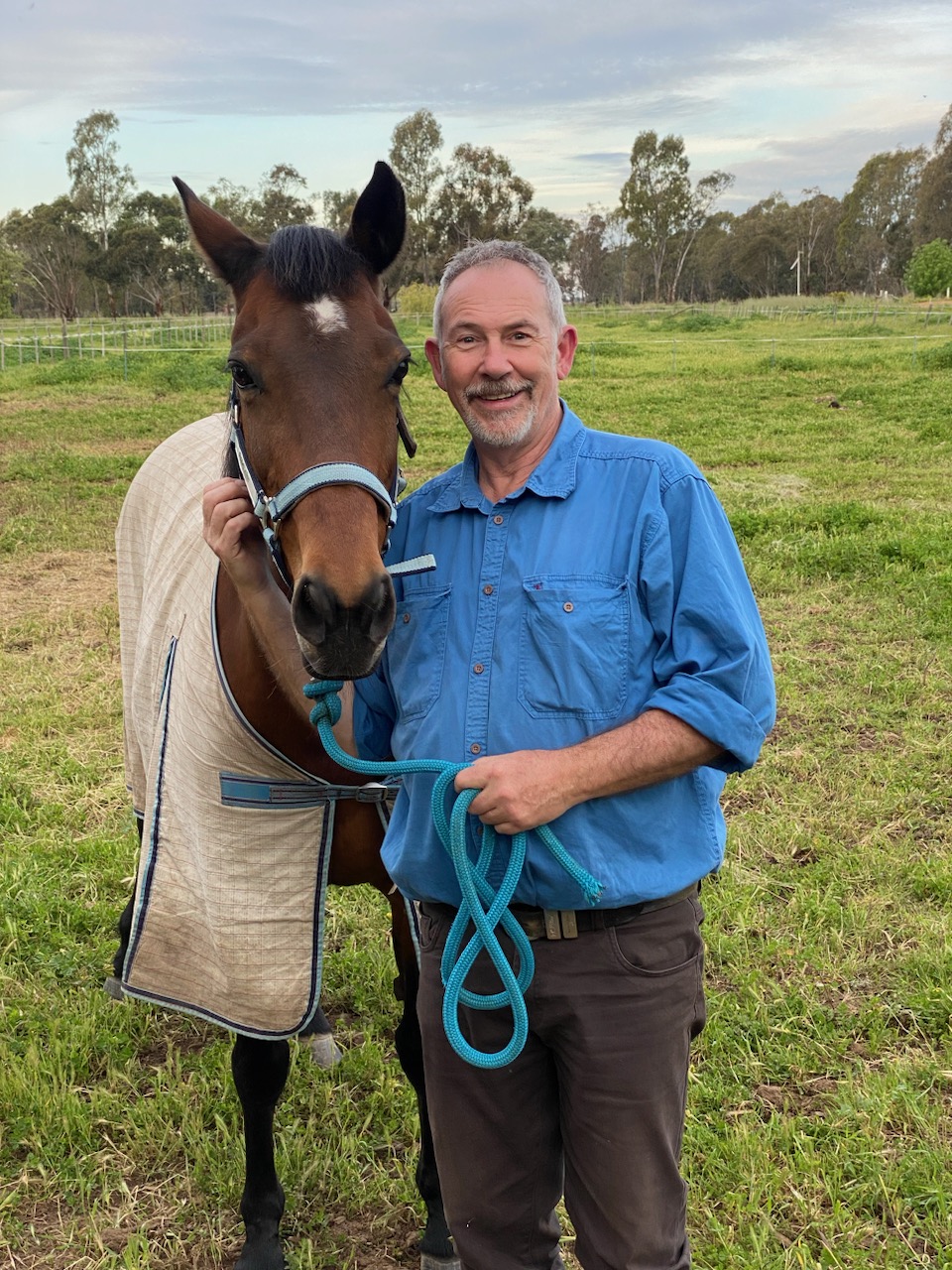 Blog1 - Horses Healing Us